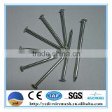 Flat Head Common Nails manufacture