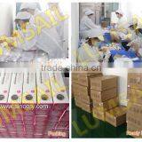 Derma Roller Skin Care Treatment Dermaroller 540 Needles thumbnail-5