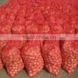 Yellow Onion thumbnail-3