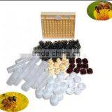 Hot Sale Beekeeping Kit Honey Bee Brown Queen Cell Cup Queen Rearing Tool thumbnail-6