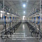 Automatic Milking Machine For Milking Sheep and Goats