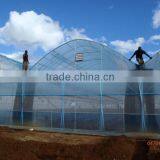 Aeroponics and Hydroponics Systems for Commercial Greenhouse thumbnail-4