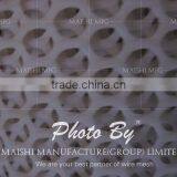 460gsm Hexagaonal Shape Plastic Extruded Mesh thumbnail-5