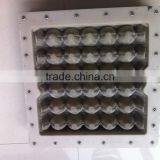 Egg Tray Made of Waste Papers in China thumbnail-1