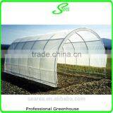100x8m Agricultural Plastic Tunnel Greenhouse for Sale thumbnail-5