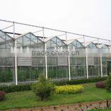 Large Size Multi-span Glass Greenhouse/commercial Greenhouses thumbnail-6