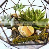 Geometric Stained Glass Vase Terrarium Ball thumbnail-3