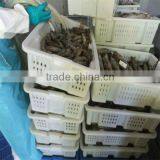 Seafood and South American White Shrimp thumbnail-1