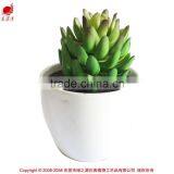 Nearly Natural Mini Succulents Potted Plant Small Succulents thumbnail-1