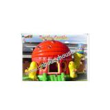 inflatable bouncer/castle/jumping house