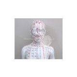 48 cm PVC Acupuncture Model Female Acupuncture Model for Full Body Male for Acupuncture Point Study thumbnail-2