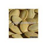 Sell Roasted Pumpkin Seed thumbnail-1