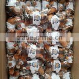 Custom Mini Stuffed Animal Small Toys Plush Bear Keychain thumbnail-6