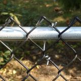 5ft pvc coated dark green chain link fence