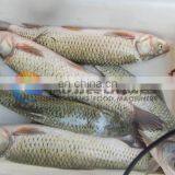 Brush Type Fish Scale Removing Scaling Remover Processing Machine thumbnail-6