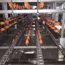 Plastic Crate Washer With Factory Price Chicken Box Washing Machine