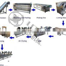 Fully Automatic Manufacturing Frying Production Line Fresh Frozen French Fries thumbnail-3
