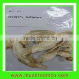 Dried Matsutake Mushroom