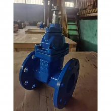 DIN 2'' DN50 PN16 GG25 Cast Iron Ductile Iron GGG40 Flange Gate Valve EPDM Soft Seal Non-Rising Stem Gate Valve thumbnail-6