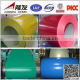 PPGI/PPGL/GI/GL thumbnail-4