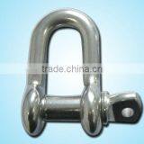 SUS 304 Stainless Steel Large Dee Shackle