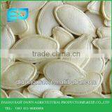 Shine Skin Pumpkin Seed ,pumpkin seeds shelling machine