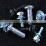 Screw, Fastener, Metal Rivet Pin & Cold Forging Part thumbnail-2