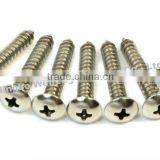 Phillips Pan Head Screws Cross Head thumbnail-1
