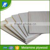 Plywood With Melamine HPL Finish thumbnail-1