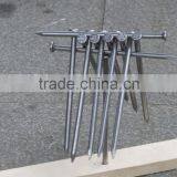 Price of Flat Head Common Iron Nail Wire Nail/Common Iron Wire Nail