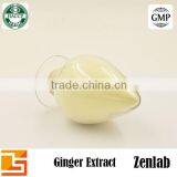 Natural 5% Ginger Extract Powder thumbnail-5