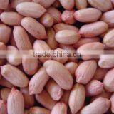 All Kinds Of Red Peanut Kernels thumbnail-4