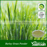 Barley grass juice powder