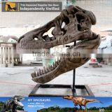 MY Dino-C086 Museum t Rex Dinosaur Head Skeleton thumbnail-1