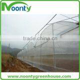 Professional Greenhouse Project Commercial Hydroponic Systems thumbnail-3