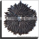 Chinese Wholesale Suppliers Afro Kinky Human Hair For Braiding