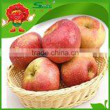 Fuji Apples High Quality Without Chemical Pesticide Fuji Apple thumbnail-5