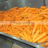 2015 New Fresh Carrot for Dubai thumbnail-3