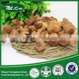 Dried Matsutake Mushroom High Quality thumbnail-2