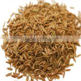 Hot Selling Low Price Cumin Seed