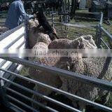 Simple Installation of Movable Steel Cattle Fence thumbnail-5