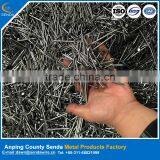 High Quality Polished Iron Nails/ Common Nails Factory thumbnail-2