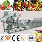 Multifunctional vegetable washing machine