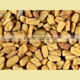 Fenugreek thumbnail-2