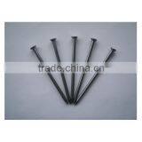 Good Quality 15cm Common Nails/polished Iron Nail / Standard Wire Nail thumbnail-4