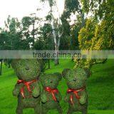Moss Garden Decoration 2014 thumbnail-1