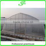 Plastic Film Cover Steel Frame Used Greenhouse thumbnail-5