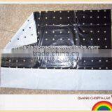 Agriculture PE Plastic Black and White Mulch Film in Rolls thumbnail-1