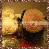 Factory Direct Price Popular Home Decoration Sola Flower Wood Flower Sola Flowers Wholesale thumbnail-1