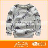 OEM Printed Pullover Hoodie Sweater,Long Sleeve French Terry Sweatshirts For Kids thumbnail-1